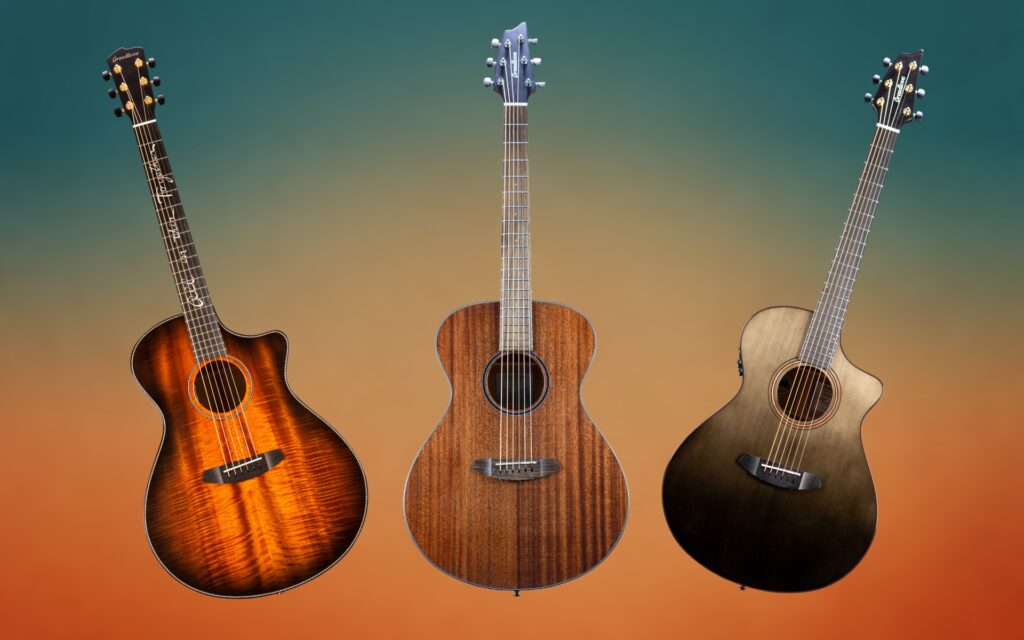Best Breedlove Guitars